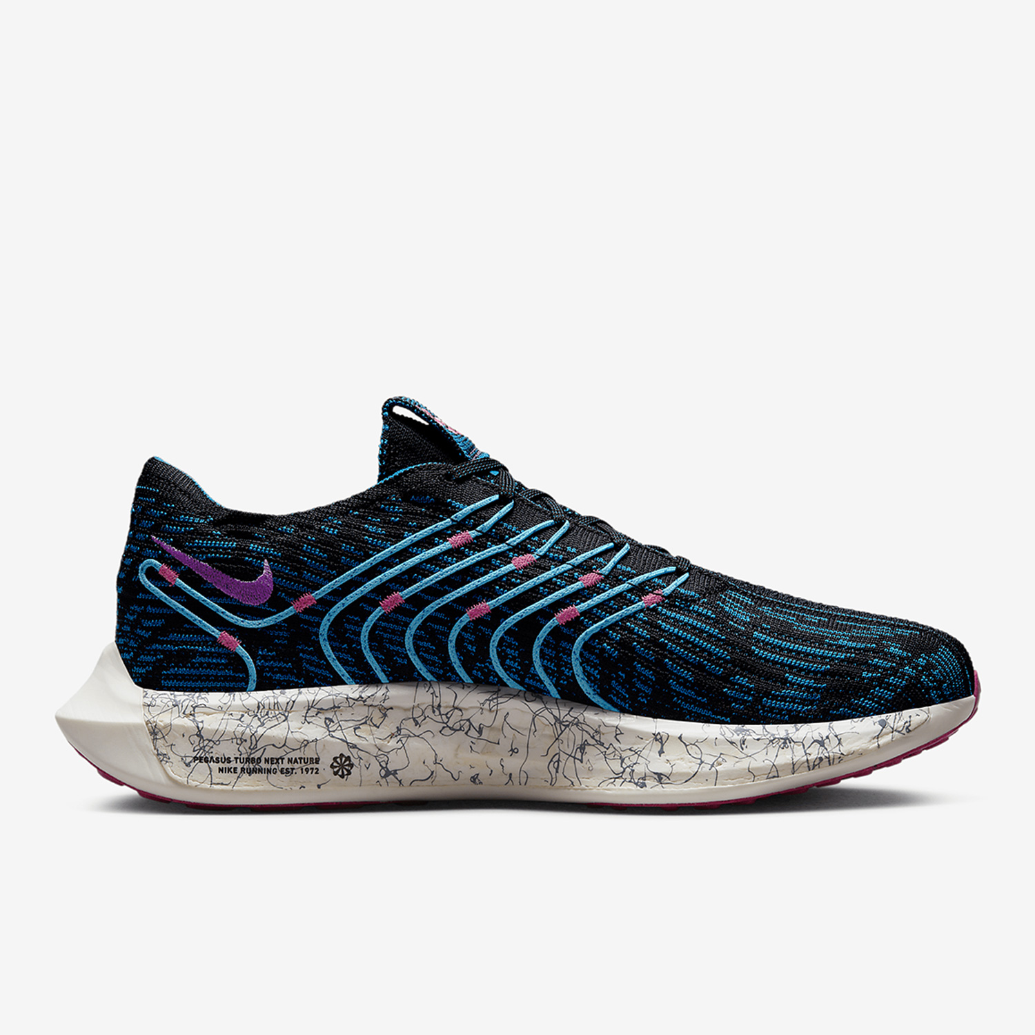 Nike Official Genuine Pegasus  - Men'S Shoes In Next 评论和价格